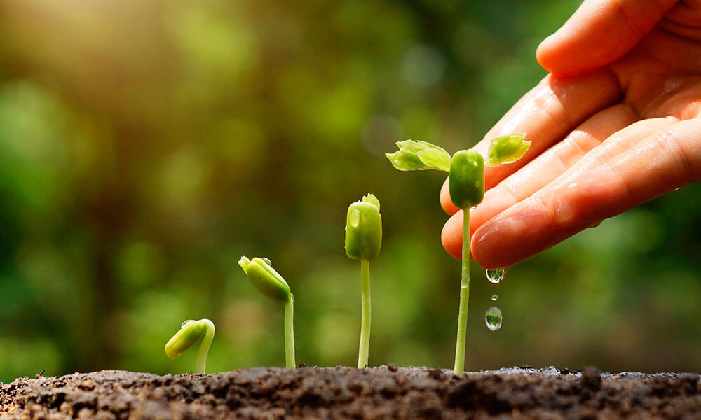 What are the benefits of lead nurturing? Marketing methods for companies that want to increase potential customers