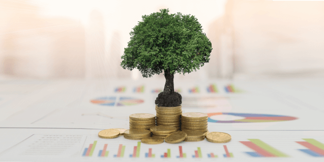 visible-marketing-roi