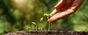 Lead Nurture in Marketo
